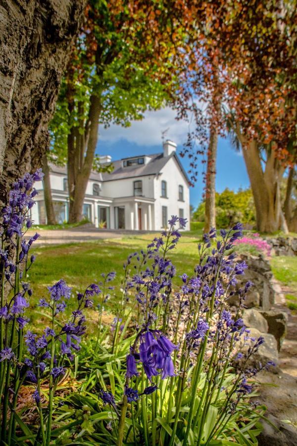 Altahammond House Bed & Breakfast Carrickfergus Exterior photo